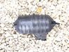 Vacuum air tank 11652247620