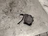 Vacuum pump VAPEC