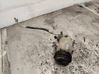 Compresor (bomba) del aire acondicionado (A/C)) M04M05U
