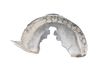 Rear arch fender liner splash guards 