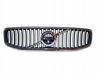 Maskownica / Grill / Atrapa górna chłodnicy E51231479286