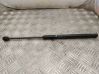 Tailgate/trunk strut/damper 9639853880