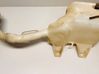 Windshield washer fluid reservoir/tank 