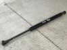 Tailgate/trunk strut/damper 8254281