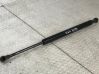 Tailgate/trunk strut/damper 8254281