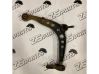 Front control arm 