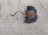 Front wheel hub spindle knuckle 