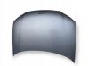 Motorhaube 
