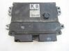 Engine control unit/module 3392062J00