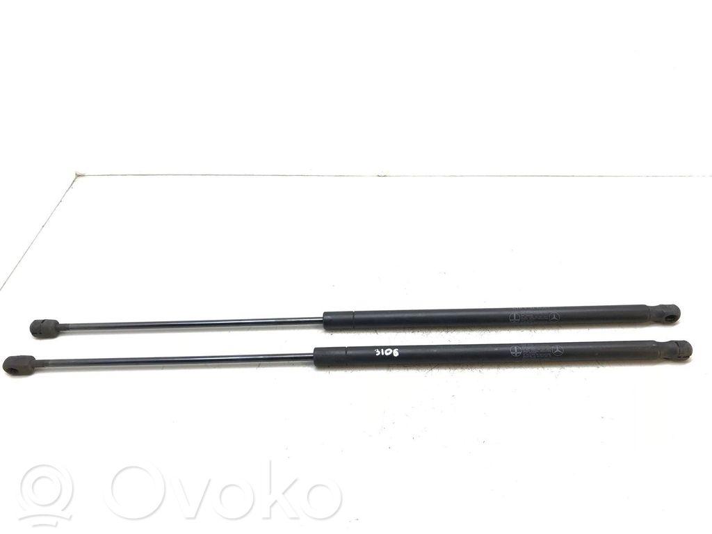 Bagāžnieka amortizators