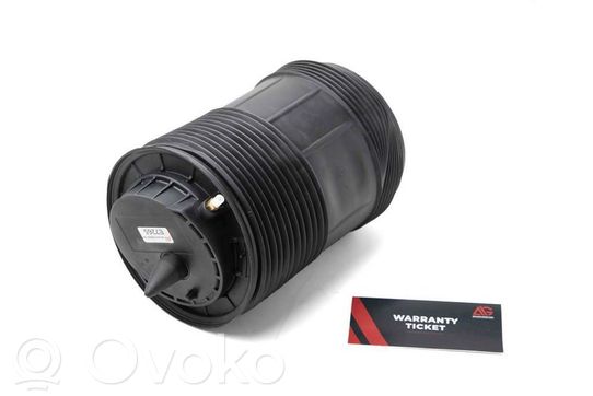 Audi A6 S6 C8 4K Sacca a pressione sospensione/ammortizzatore posteriore 
