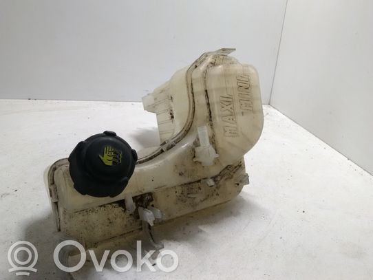 Serbatoio di compensazione del liquido refrigerante/vaschetta   217100014R