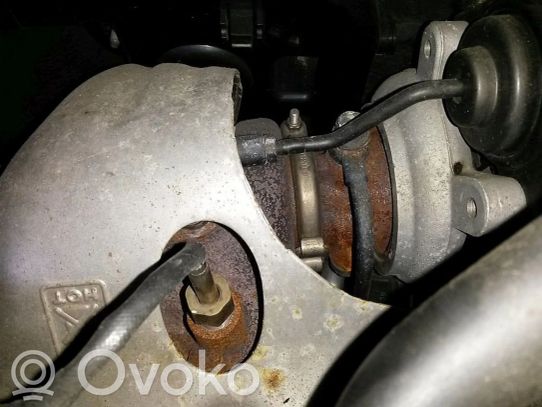 Turbina   4917302711,4917302711