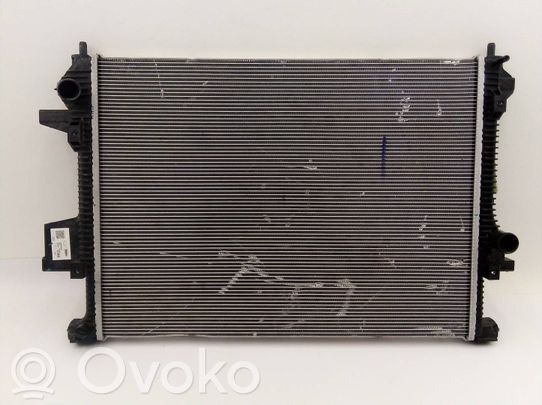 Wasserkühler Kühlerdpaket   302000021AA