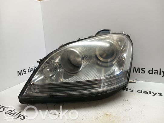 Mercedes-Benz ML W164 Priekinis žibintas 