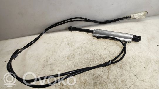 Volkswagen Eos Avattavan katon dynaaminen pääsylinteri 