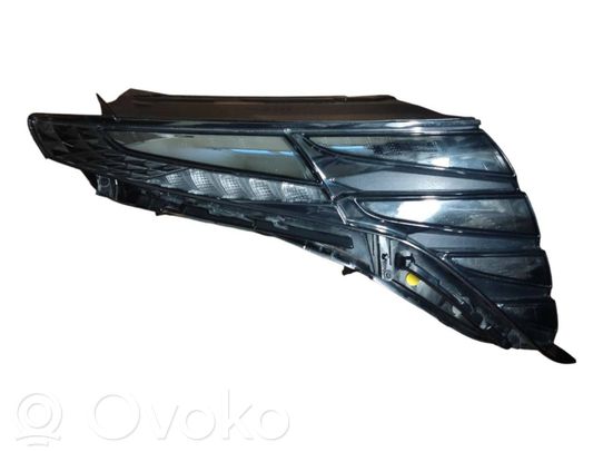 Priekinis žibintas   92208N7100