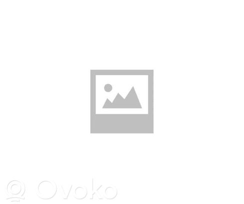 Nopeusmittari (mittaristo)   248109734R,0090059,248109734R