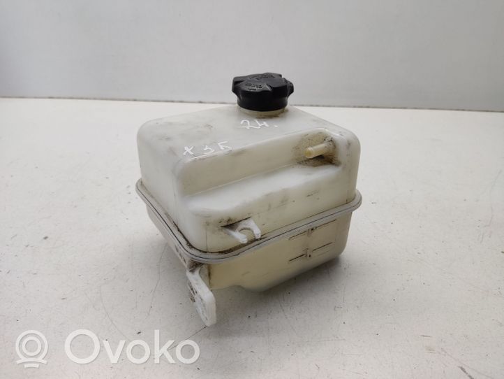 Hyundai ix35 Serbatoio di compensazione del liquido refrigerante/vaschetta 254302S000