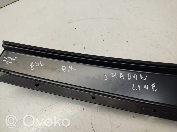 BMW 3 E46 Front door trim (molding) 