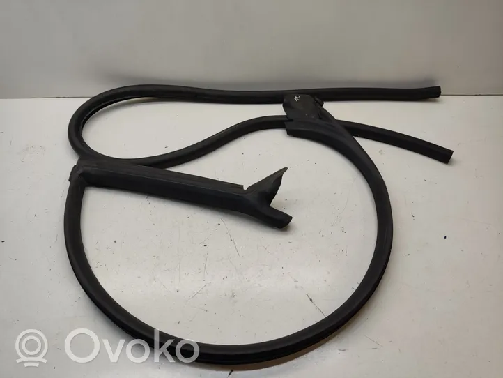 Audi A5 8T 8F Rubber seal front coupe door 8T0845353