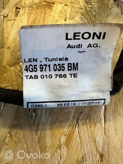 Audi A6 S6 C7 4G Faisceau de câblage de porte avant 4G5971035BM