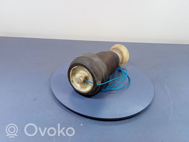 BMW X6 E71 Amortisseur suspension pneumatique R309512606