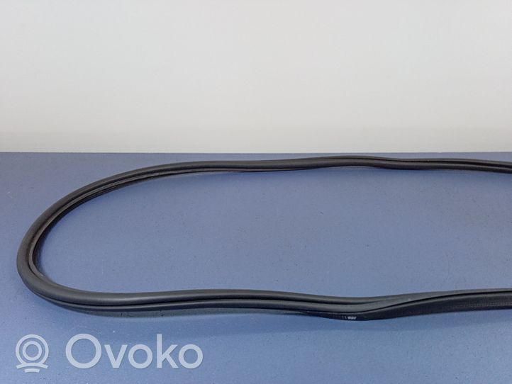 Seat Arona Front door rubber seal 01