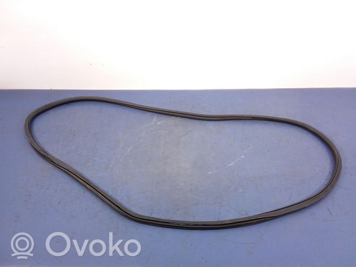 BMW X7 G07 Front door rubber seal 7431142