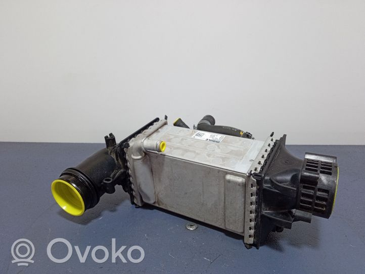 Volkswagen PASSAT B8 Chłodnica powietrza doładowującego / Intercooler 04E145785E