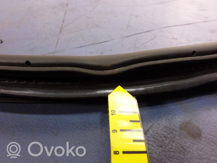 Opel Insignia A Front door rubber seal 13463862