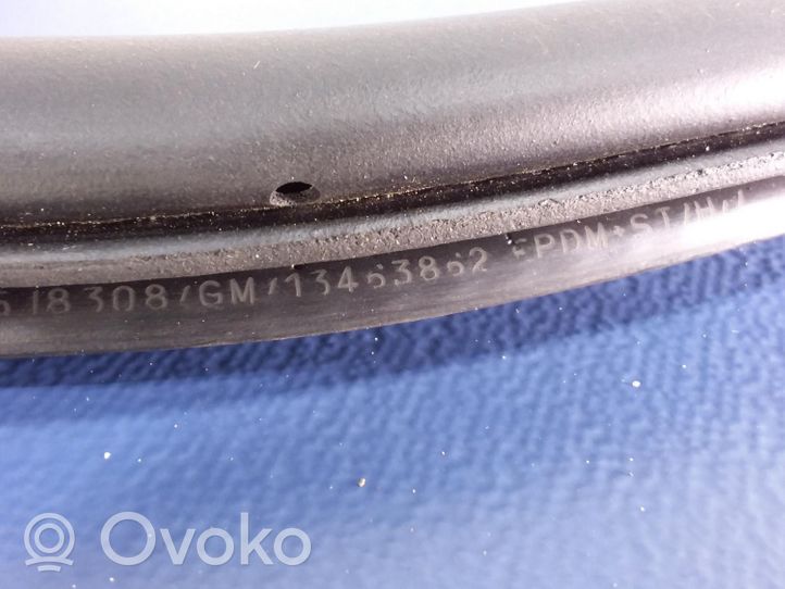 Opel Insignia A Priekinė sandarinimo guma ant kėbulo 13463862