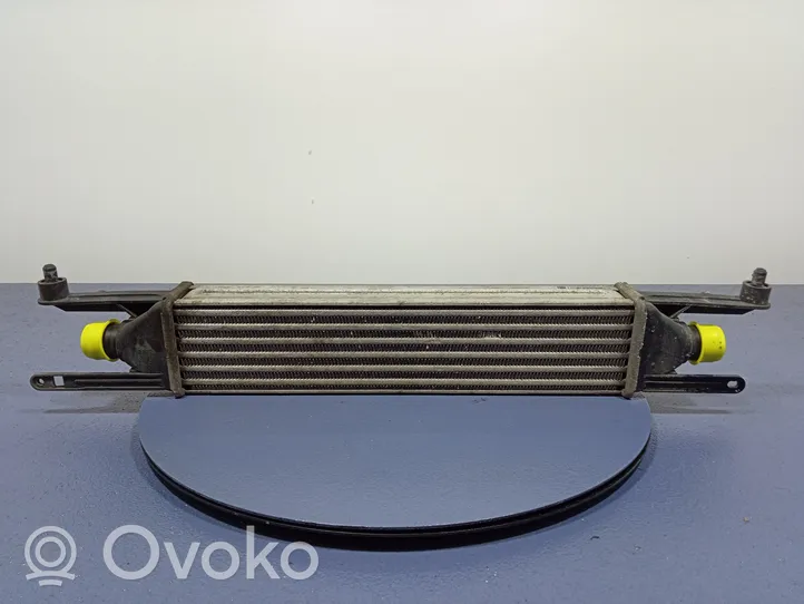 Fiat Punto (199) Chłodnica powietrza doładowującego / Intercooler 51836369