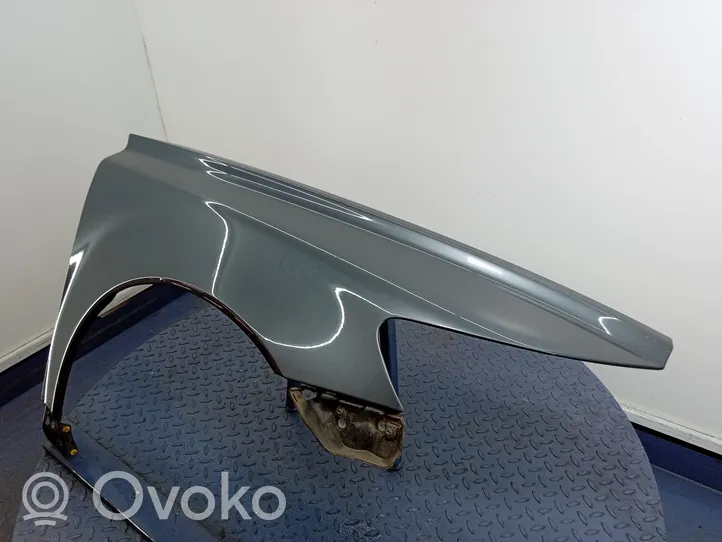 Volvo S40 Fender 01