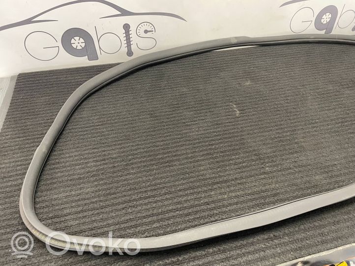 Mercedes-Benz C W205 Sandarinimo guma priekinių durų (ant kėbulo) A2056970051