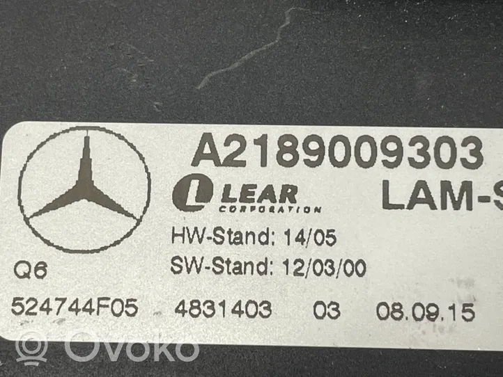 Mercedes-Benz CLS C218 X218 Moduł sterujący statecznikiem LED A2189009303