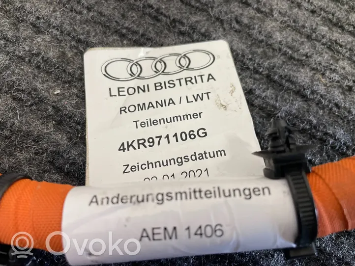 Audi e-tron Elektriskās automašīnas uzlādes kabelis 4KR971106G