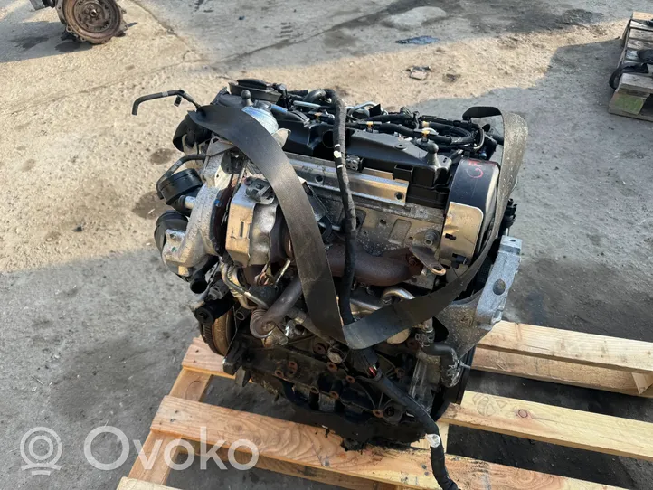 Skoda Octavia Mk2 (1Z) Motore CFG