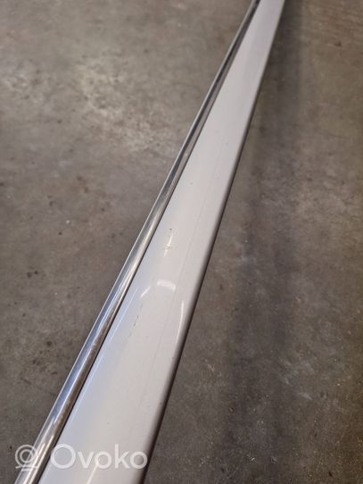 Mercedes-Benz S W220 Front door trim (molding) A2206900662