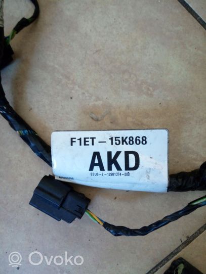 Ford Kuga II Parkavimo (PDC) daviklių instaliacija F1ET15K868AKD