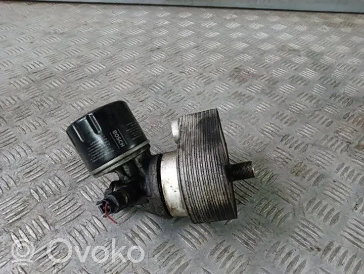 Nissan Juke I F15 Öljynsuodattimen kannake 779744