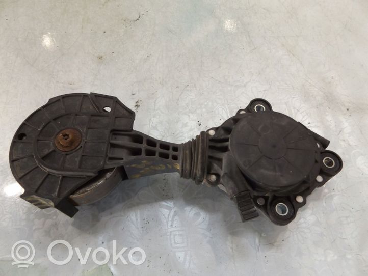 Citroen C3 Picasso Tendicinghia generatore/alternatore 759883280