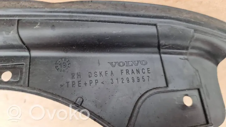 Volvo V60 Front door rubber seal 31299957