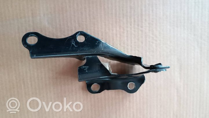 Toyota Camry Engine bonnet/hood hinges TY320ALL