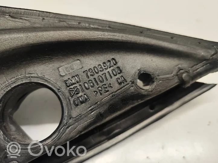 BMW X5 F15 Altro elemento di rivestimento della portiera anteriore 7303920