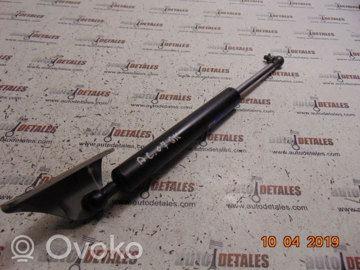 Honda Accord Tailgate/trunk strut/damper 