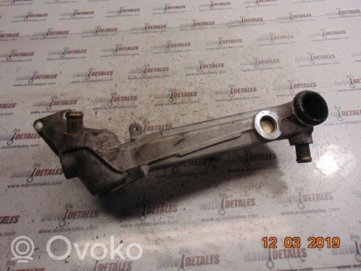 Mercedes-Benz S W220 Linea/tubo flessibile della valvola EGR A6131420179