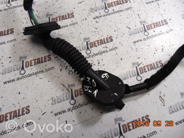 Hyundai i30 Cableado de puerta trasera 91660A6050