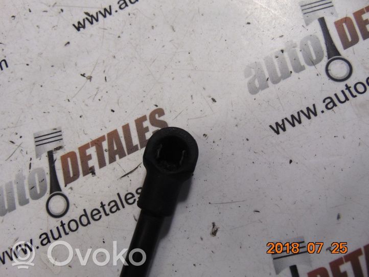 Toyota Avensis T250 Ammortizzatore portellone posteriore/bagagliaio 6896005062