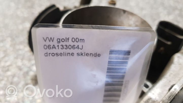 Volkswagen Golf IV Zawór przepustnicy 06A133064J
